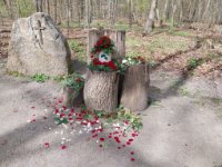 ein Bild aus dem Album